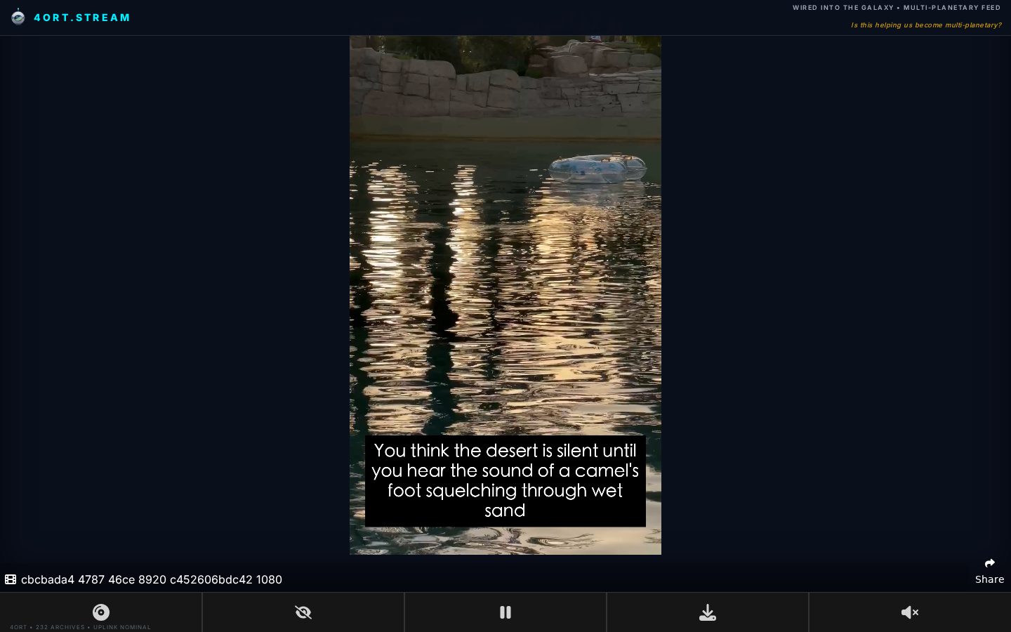 Live screenshot of 4ort.stream — autonomous broadcast, mid-flight